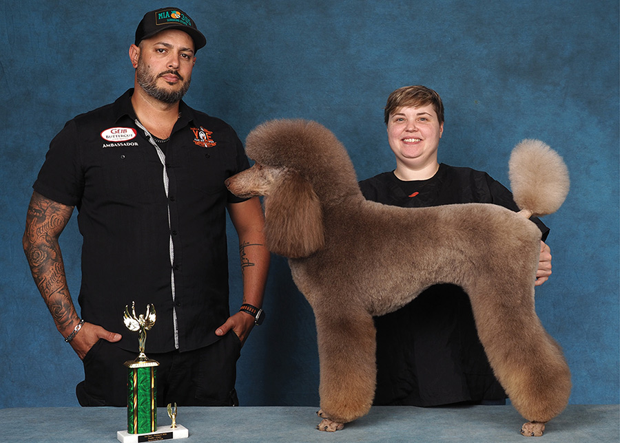 A presenter and a groomer stand together behind a groomed brown Standard Poodle next to a trophy.