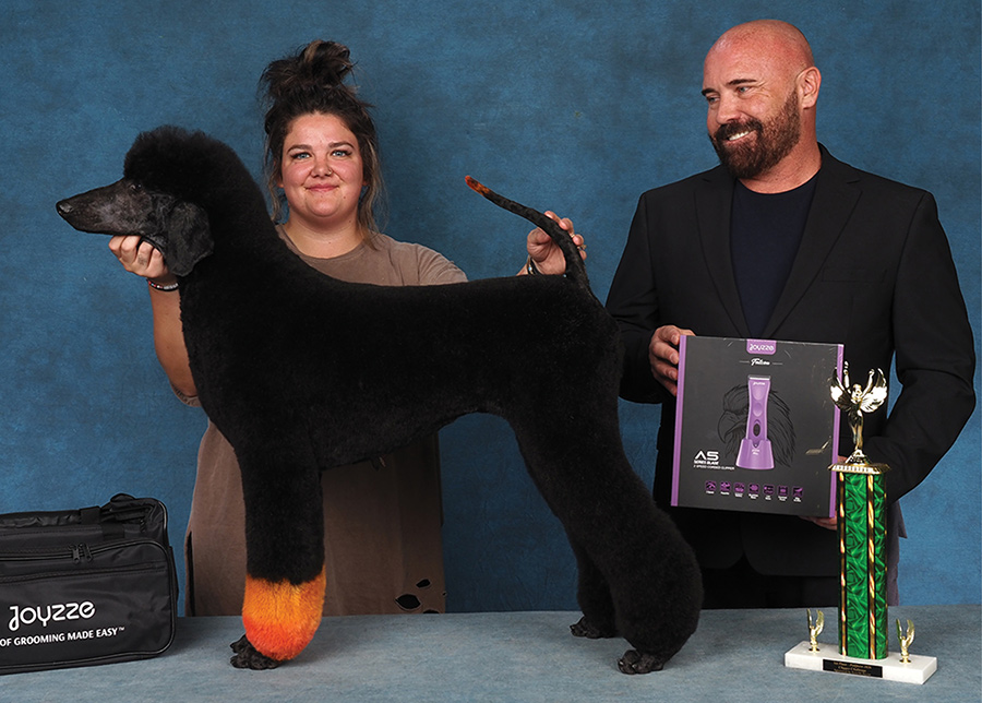 A groomer and presenter show off a black Standard Poodle with orange-dyed legs beside grooming equipment and a trophy.