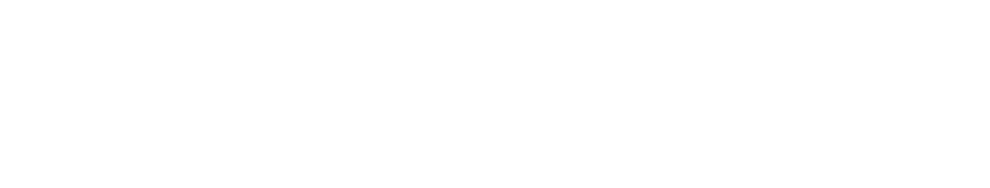 CREATING A CAT GROOMING PRICING STRUCTURE