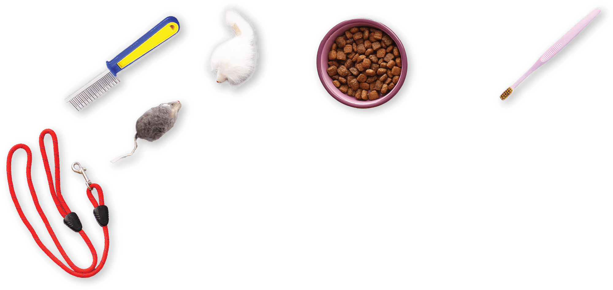Assorted pet care items including a comb, toys, food bowl, leash, and toothbrush.