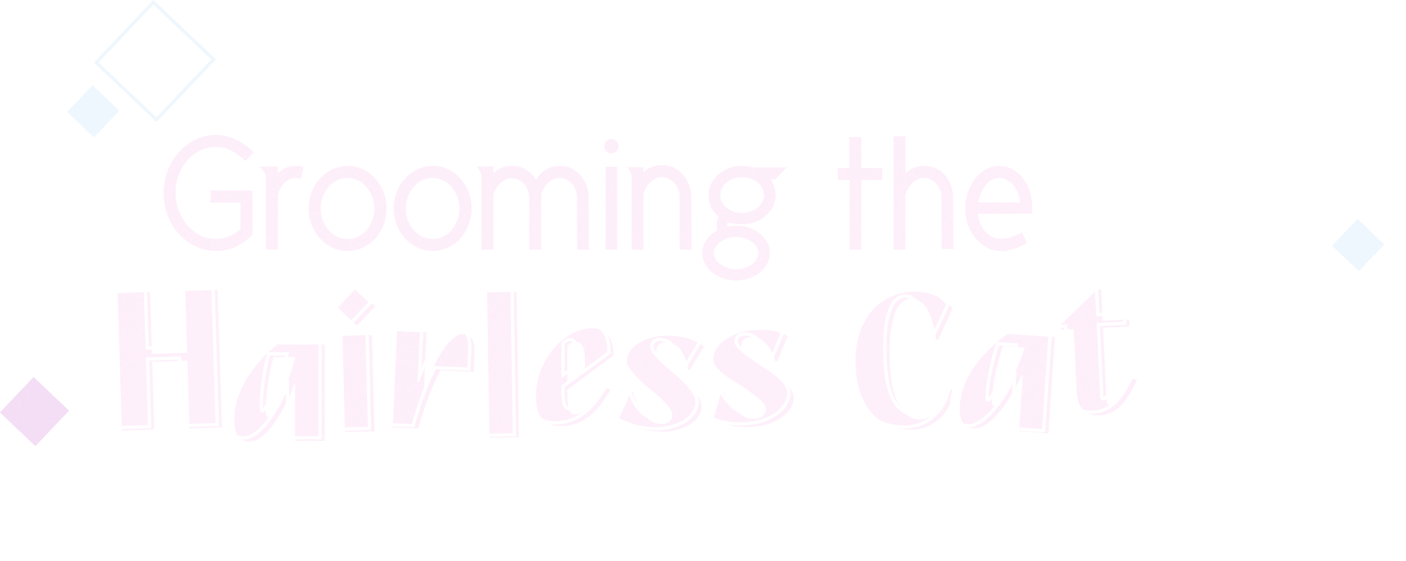 Grooming the Hairless Cat