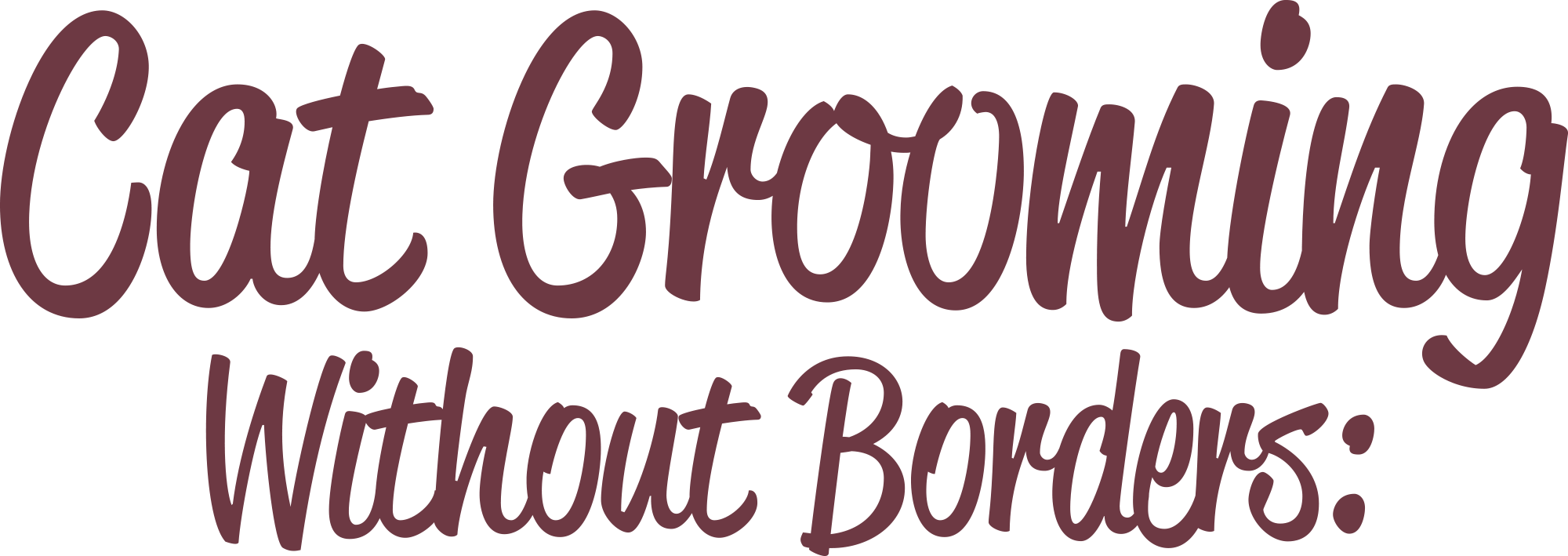Cat Grooming Without Borders: