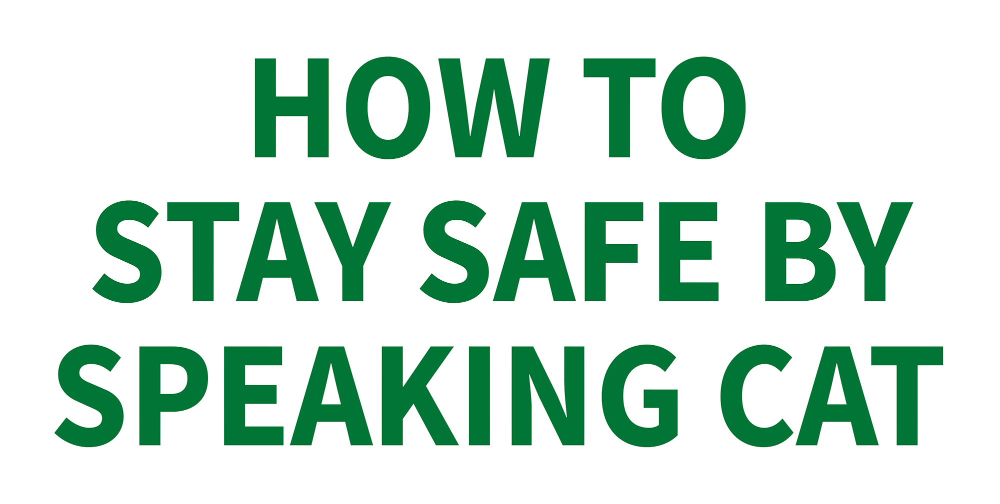 HOW TO STAY SAFE BY SPEAKING CAT