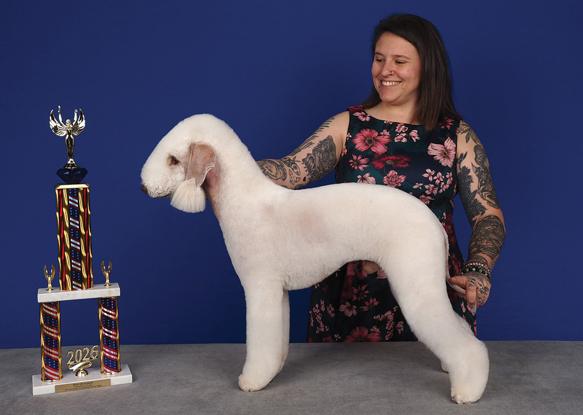 A smiling woman in a floral dress poses a groomed white Bedlington Terrier beside a tall 2026 trophy against a blue backdrop.