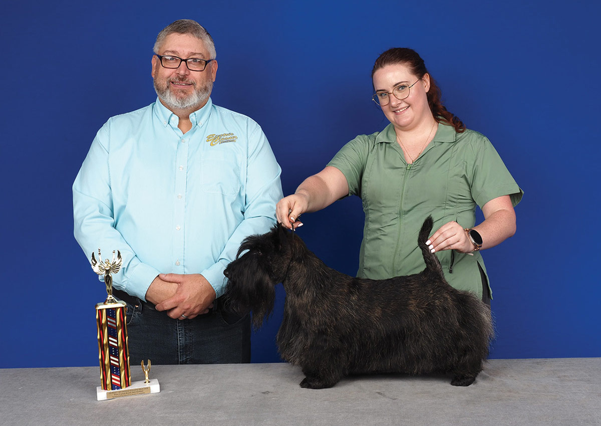 A man and a woman in glasses and a green shirt pose with a well-groomed Scottish Terrier in a show stance, featuring a small trophy, against a blue background.