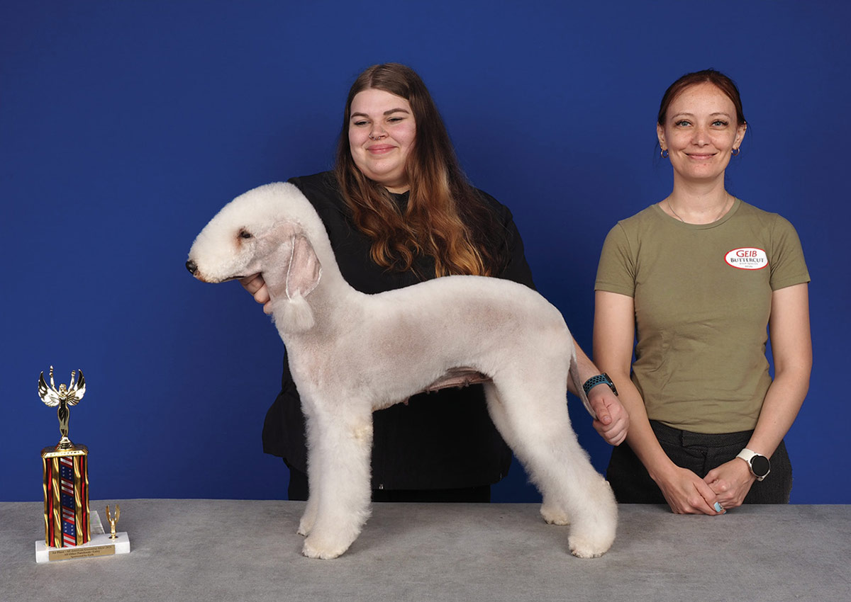 Two women pose with a groomed white Bedlington Terrier standing in show stance on a table next to a trophy, against a blue background.