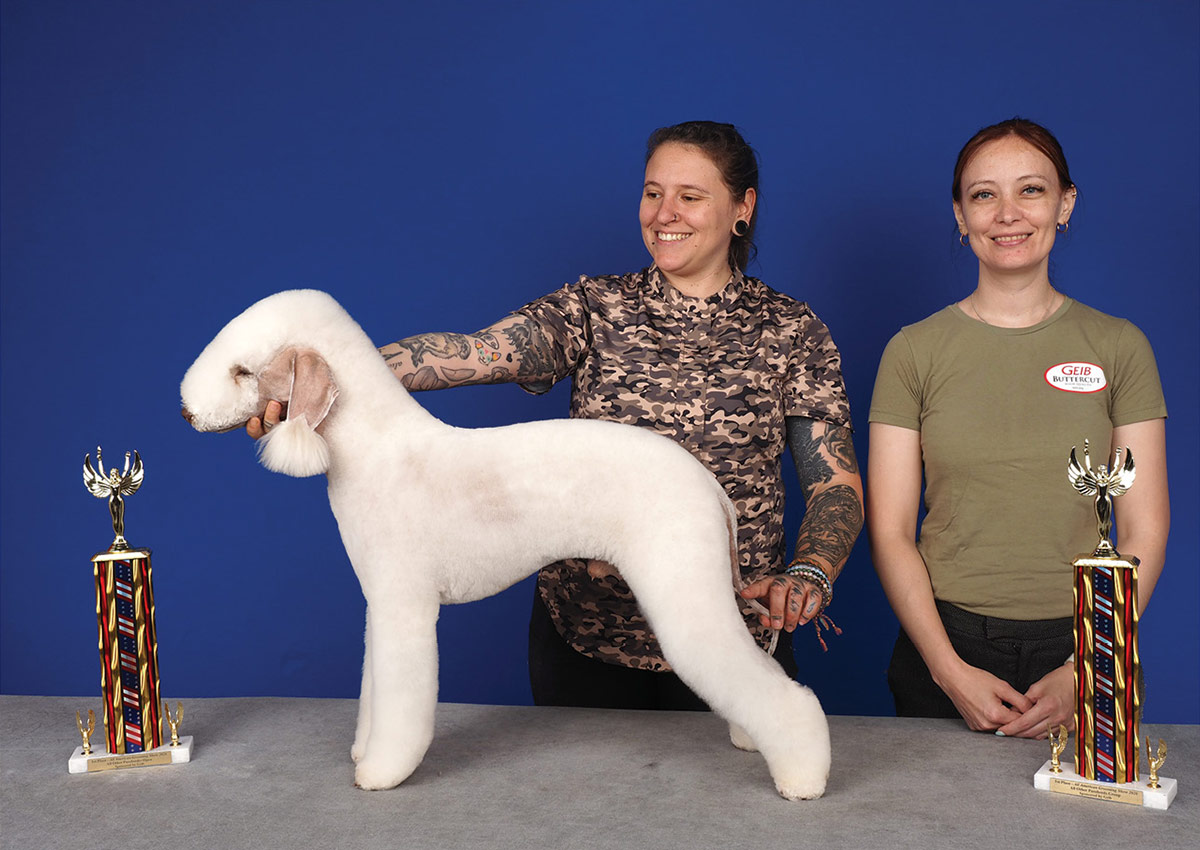 Two women pose a groomed white Bedlington Terrier on a table flanked by two award trophies, against a solid blue background.