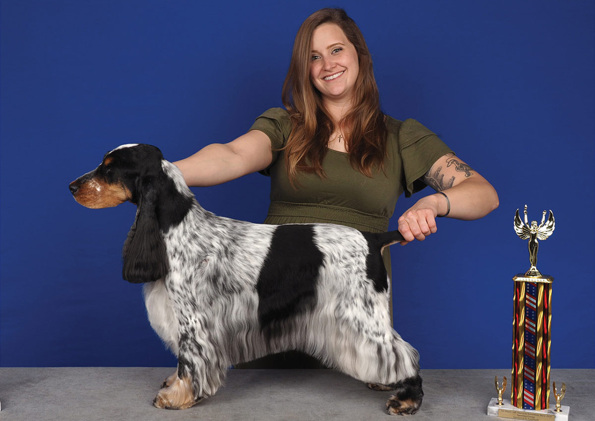 A woman holds up her neatly groomed black and white spaniel dog for show beside a trophy on a table with a blue background.