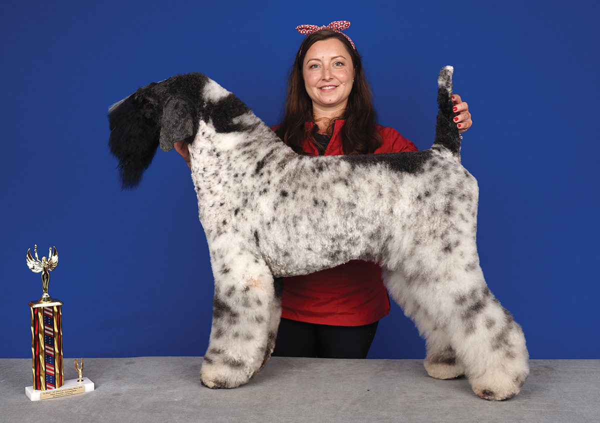 A woman in a red top smiles while holding a sculpted standard poodle with a black and spotted grey coat. The poodle stands on a table next to a trophy, in front of a blue background.