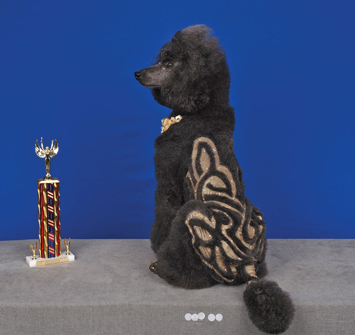 Profile of a black poodle sitting next to a tall trophy, featuring ornate gold glitter patterns clipped into its coat and a decorative floral collar.