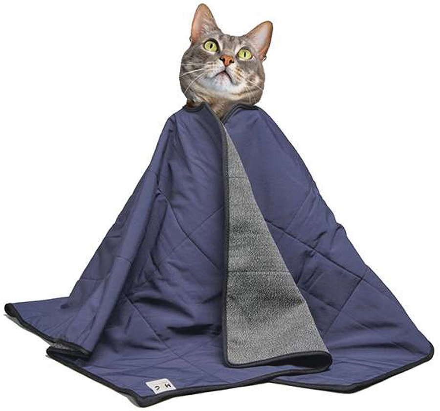 Cat wrapped tightly in a blue quilted blanket with its head poking out top.