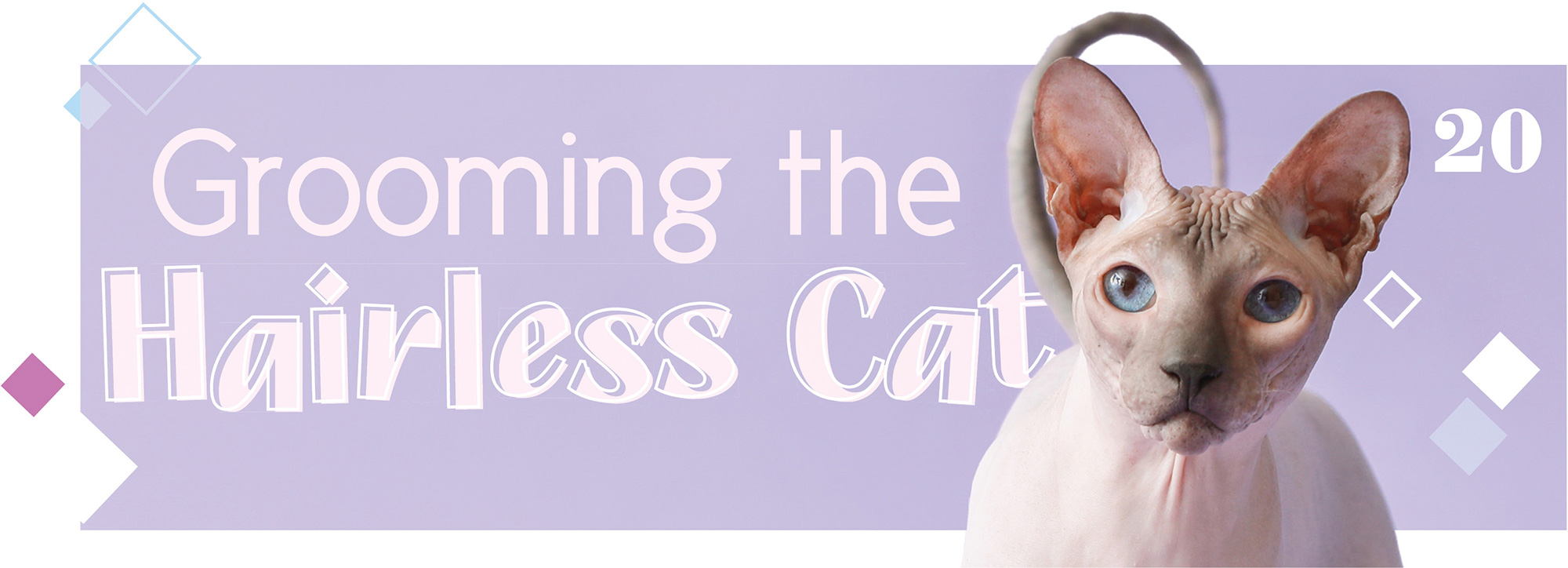 Grooming the Hairless Cat