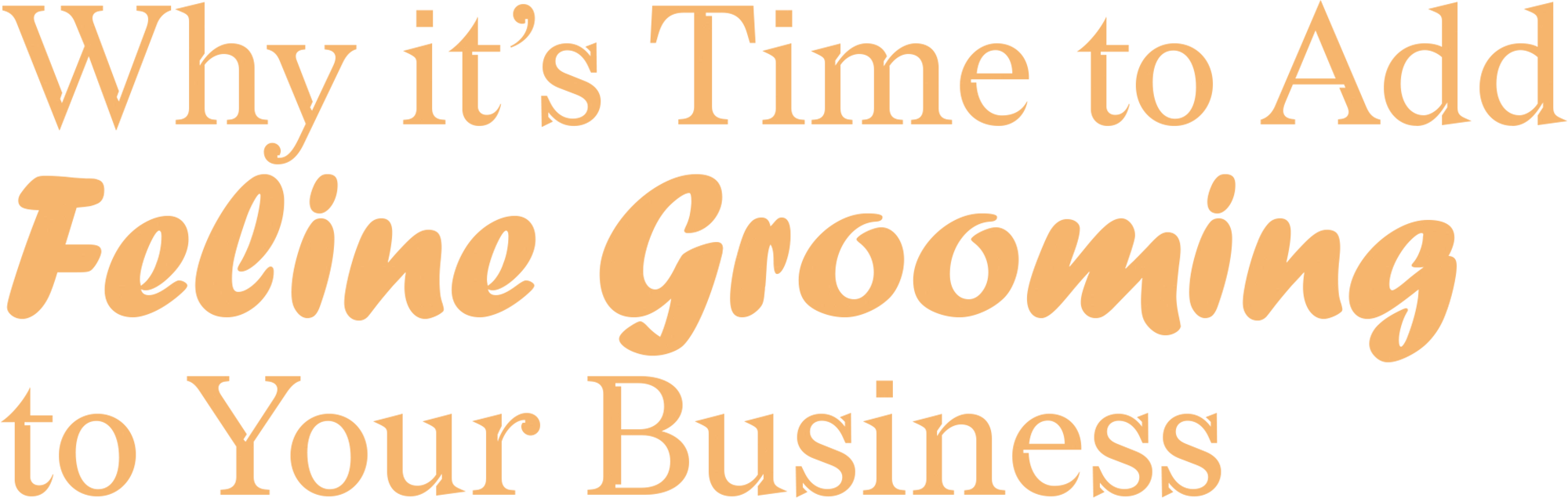 Why it's Time to Add Feline Grooming to Your Business